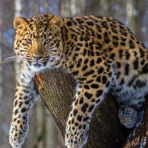 Meet your Posher, Marilyn